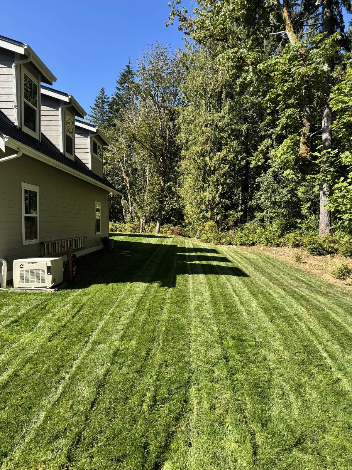 Property cleanup process Kitsap County